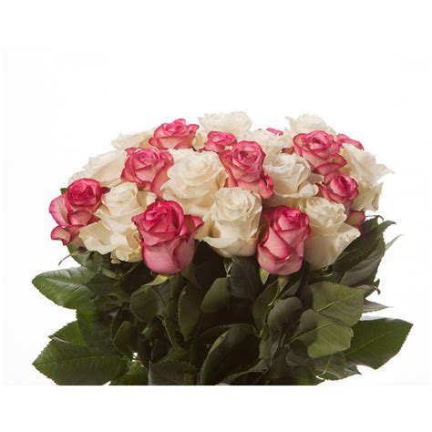 Pink And White Roses Bouquet Rose Bouquets Ts