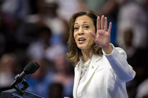 Us Presidential Elections 2024 Kamala Harris Continues To Surge In