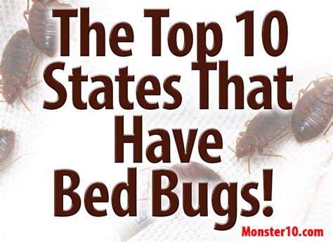 Mites can also affect your bird's legs, known as scaly leg mites. Simple bed bug heat treatment nj Plans - Some Thoughts ...