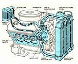 Images of Vehicle Cooling System Components