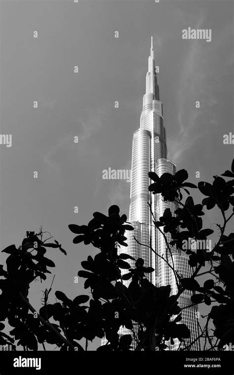 In Dubai The Tallest Building In The World Uae Black And White Stock
