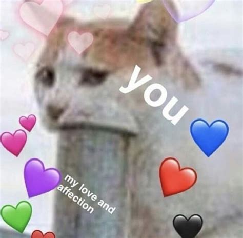 We can only wish we got to see it. Pin by Kayluh on ♥Wholesome Memes ♥ | Wholesome memes ...