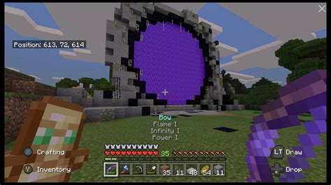 My real idea to go in the nether was to get some red mushrooms. My survival nether portal, circle in front of 19x19 portal ...
