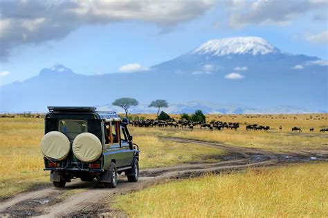 5 Activities To Do On Your Next Trip To Kenya Adumu Safaris