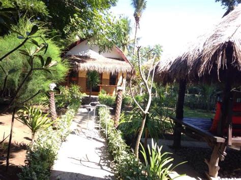 Coco Huts Rooms Pictures And Reviews Tripadvisor