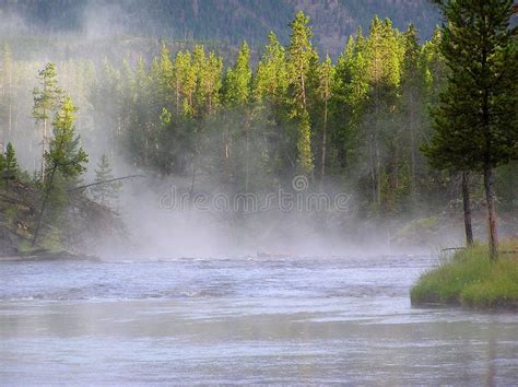 Madison River Yellowstone N P Water Vapor Rising From Madison River In Yellow Aff