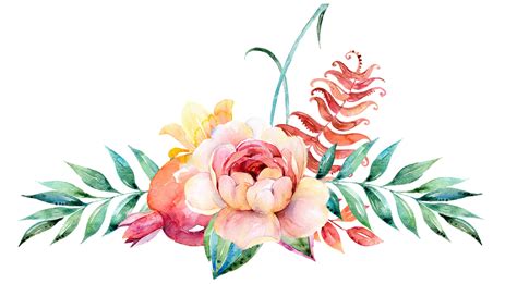 Watercolor Flower Border At Getdrawings Free Download