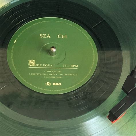 ctrl on vinyl hits different | iheartplants222 | Mint green aesthetic ...