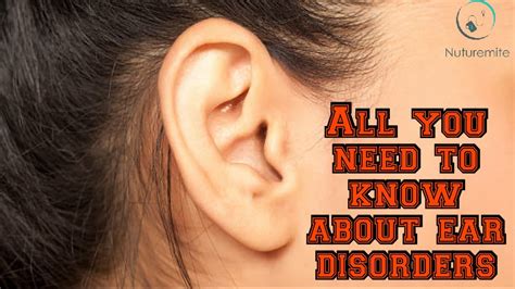 All You Need To Know About Ear Disorders Guide On Ear Disorder