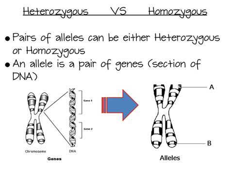 Mendel's results, that traits are inherited as dominant and recessive pairs, contradicted the view at that time that offspring exhibited a blend of their parents' traits. Genetics - OGMS-Science