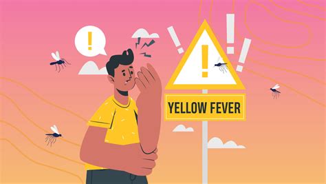 Yellow Fever Symptoms Treatments And More