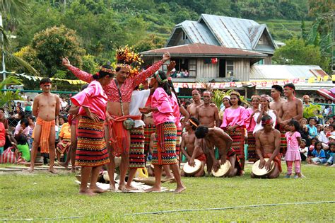 Foundation For The Philippine Environment Researches Indigenous