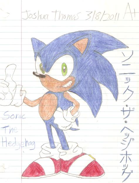 Sonic X Characters Drawing Fan Art 21532142 Fanpop