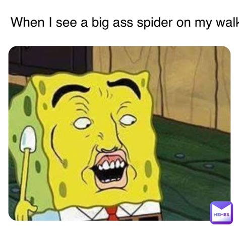 double tap to edit when i see a big ass spider on my walk sh6nnhfaqy memes