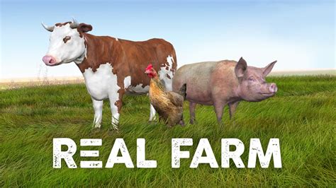 World Animal Day In Real Farm Youtube