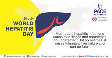 World Hepatitis Day 28 July 2023 Theme History And Importance