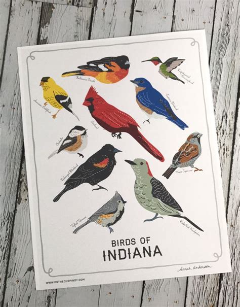Birds Of Indiana Print By On The Cusp Silver In The City