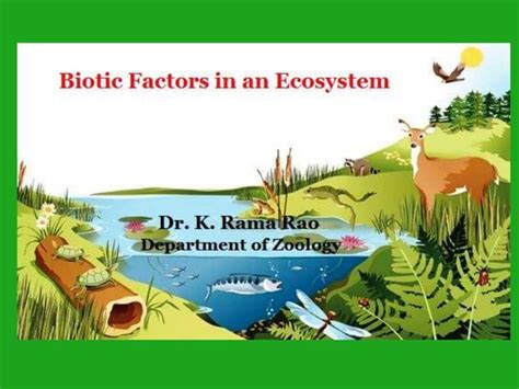 Biotic Factors In An Ecosystem Ppt