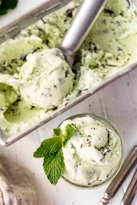 Mint Chocolate Chip Ice Cream House Of Nash Eats