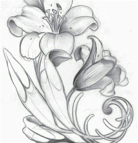 Dibujos Para Dibujar A Lapiz De Flores 磊 Dibujos De Rosas【190】lindas