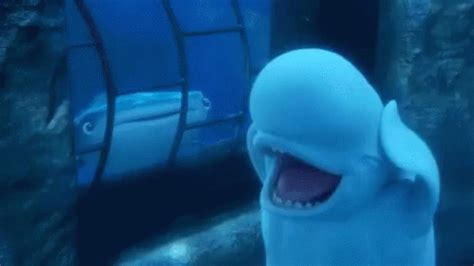 Beluga Whale Finding Dory Gif Beluga Whale Finding Dory Whale Discover Share Gifs