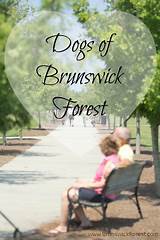 Brunswick Forest Veterinary Hospital