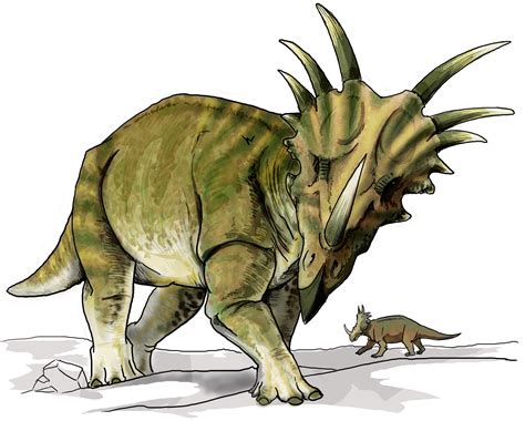 Filestyracosaurus Dinosaurpng Wikimedia Commons