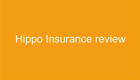 Hippo Insurance Review