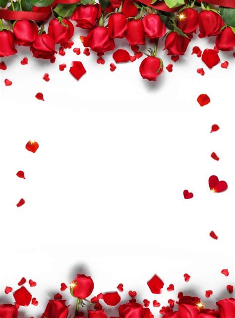 romantic chinese valentines day red rose petals background design