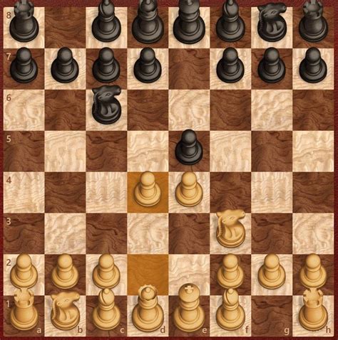 messychicken chess profile