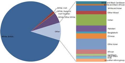 2011 Census Ethnicity Surrey I