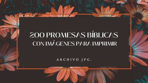 200 Promesas Bíblicas Con Imágenes Para Imprimir  Recursos Bíblicos