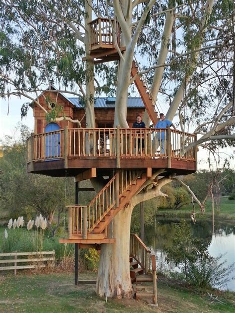 California Vineyard Treehouse Is A Wrap Tree House Designs Tree