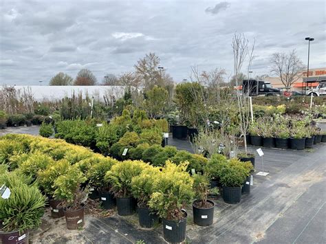 Plant Nursery Trees Madison Al