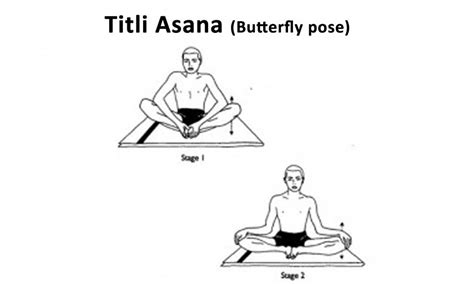 இடுப்பு பகுதி இனப்பெருக்க உறுப்புக்கு வலிமை தரும் பூர்ணா டிடாலி ஆசனம் Poorna Titali Asana