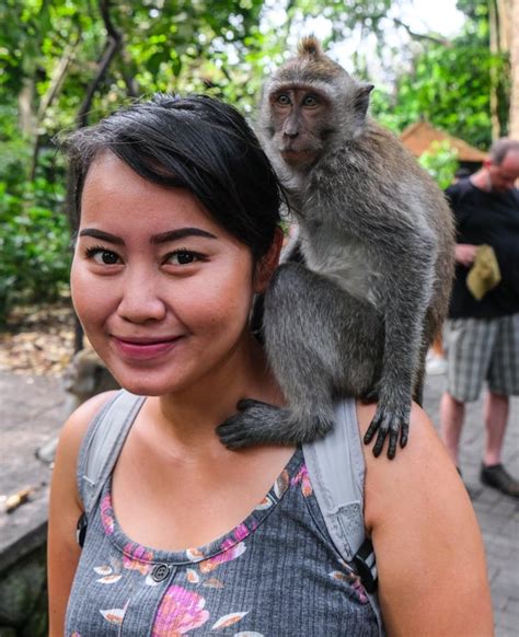 Playing With Bali Monkeys At The Ubud Monkey Forest Sanctuary