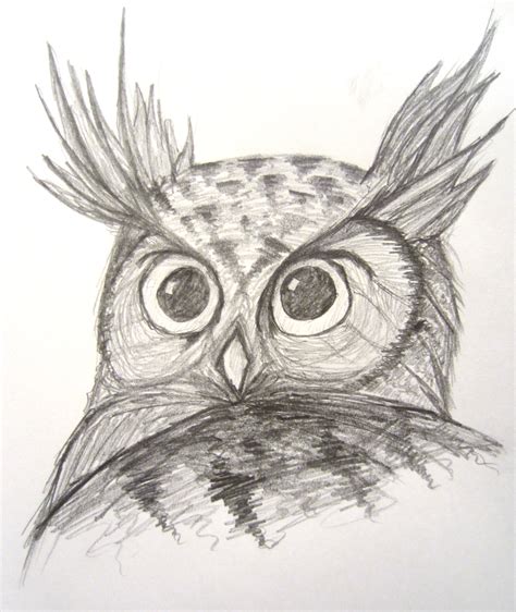 Horned Owl Sketch By Meteorman05 On Deviantart