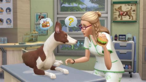 Cómo Adoptar Una Mascota En Los Sims 4 Perros Y Gatos