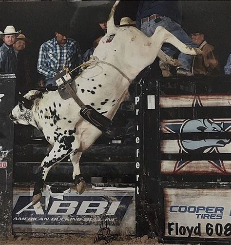 Bucking The Norm Cowgirl Magazine