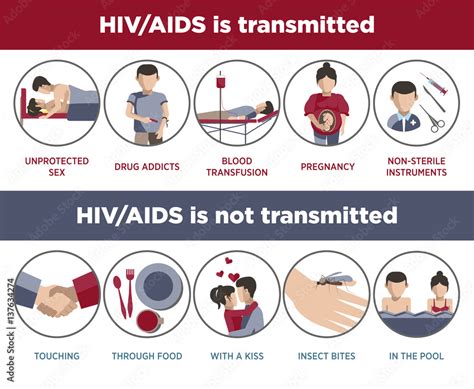 Hiv Aids Transmission Poster Infographic Logotypes Stock Illustration My Xxx Hot Girl