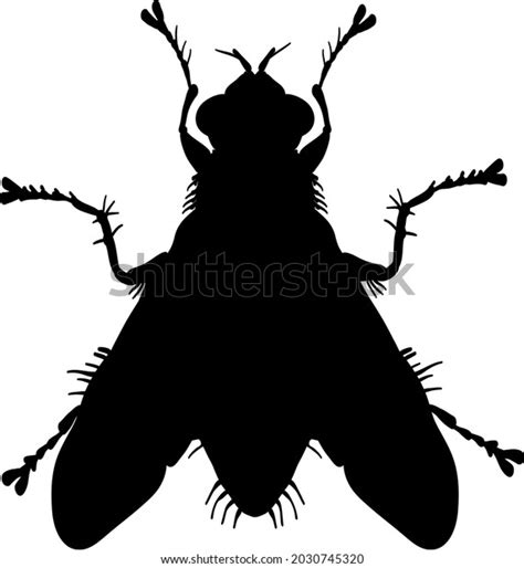 Silhouette Fly Insect Vector Illustration Stock Vector Royalty Free