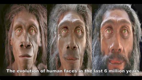 The Evolution Of Human Faces In The Last 6 Million Years Youtube