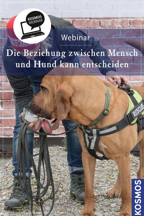 Showing posts with label meinen hund sprüche hund mensch beziehung. Die Beziehung zwischen Mensch und Hund kann entscheiden ...