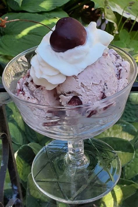 Easy Cherry Chocolate Chunk Ice Cream Recipe Chocolate Cherry Almond Ice Cream Ice Cream