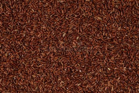 Germinated Brown Rice Or Gaba Rice Background Top View Stock Image