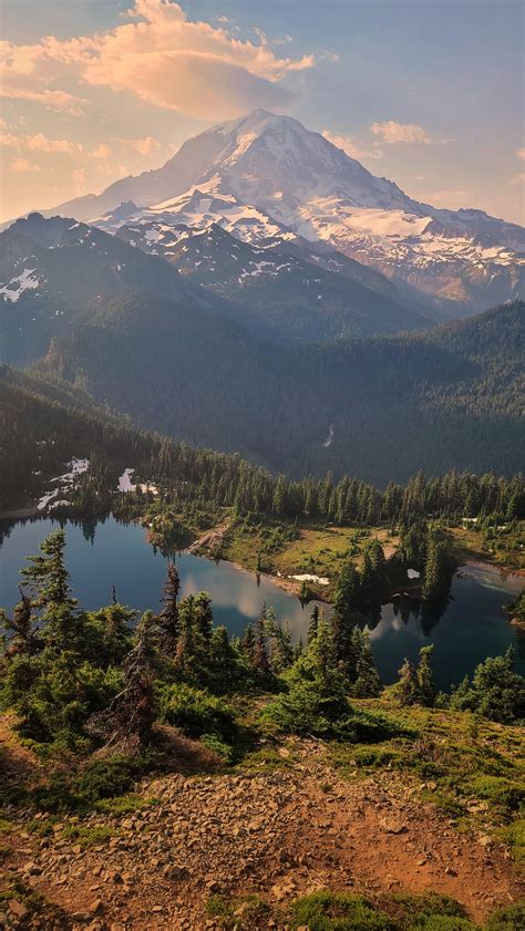 Mount Rainier National Park 2252x4000 Oc