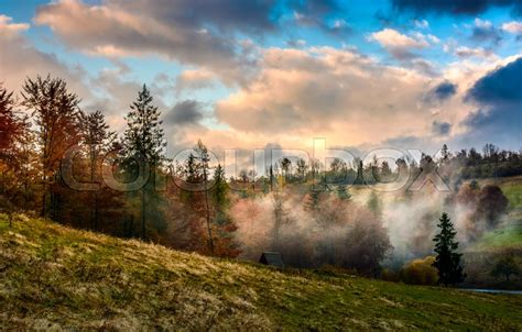 Evening Fog In Forest On A Hill Stock Photo Colourbox