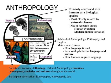 Ppt What Is Anthropology Powerpoint Presentation Id2819966
