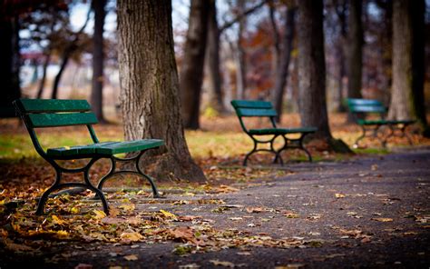 Bench Hd Wallpaper Background Image 2560x1600 Id437627