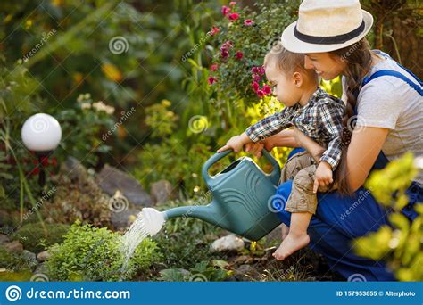 Woman Gardener And Son Watering Garden Stock Image Image Of Summer